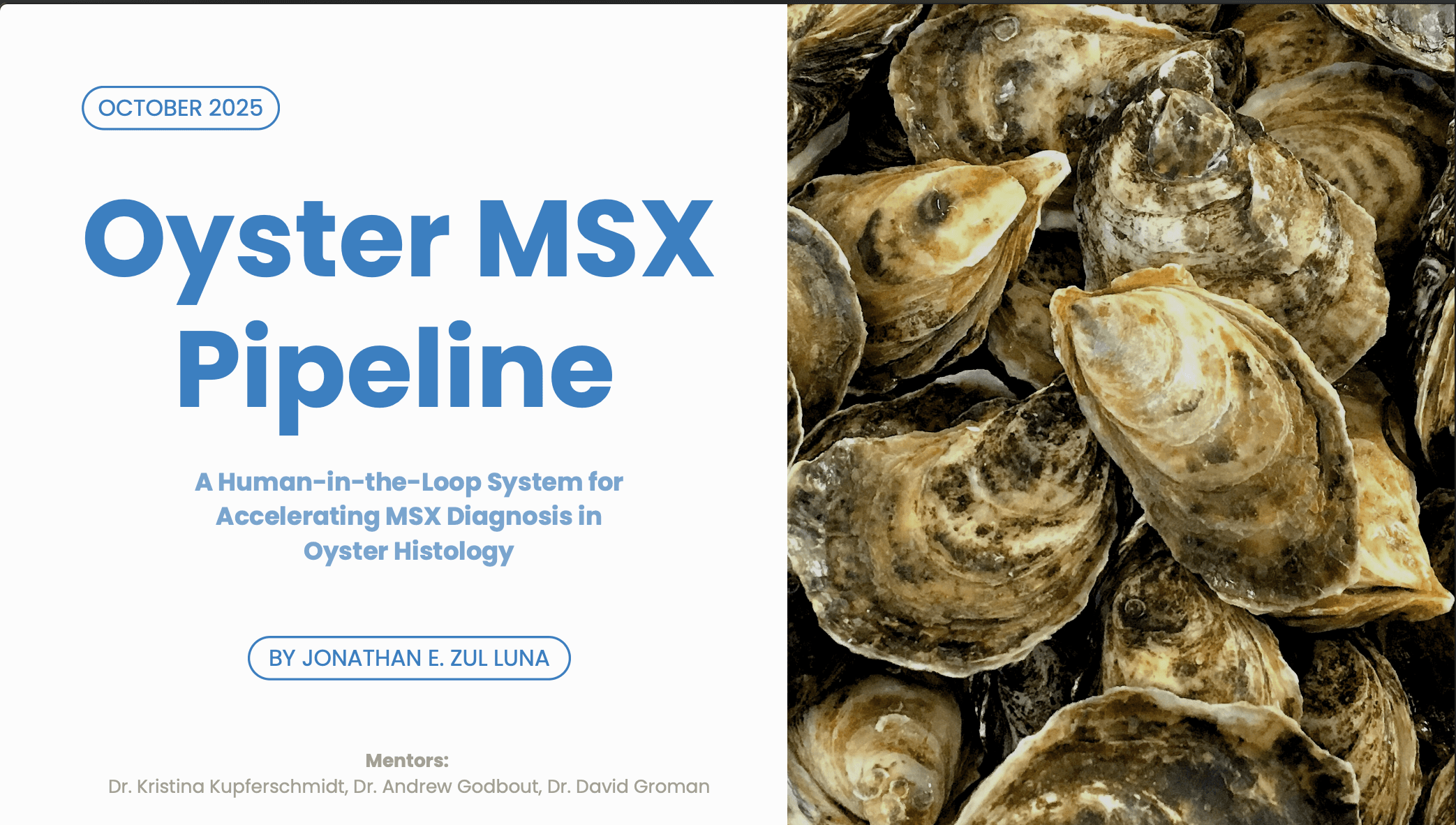 Preview of HIL: Interactive Segmentation & Validation